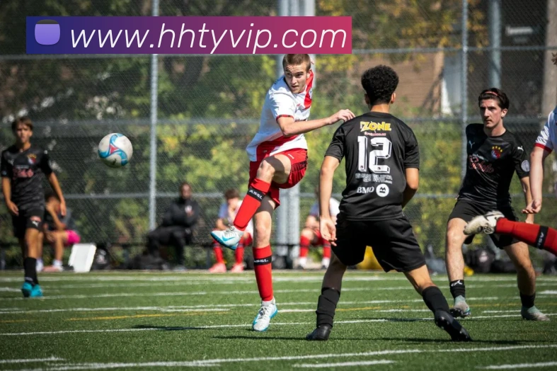 多媒体互动体验